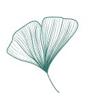 assets/images/dichvu-leaf.webp