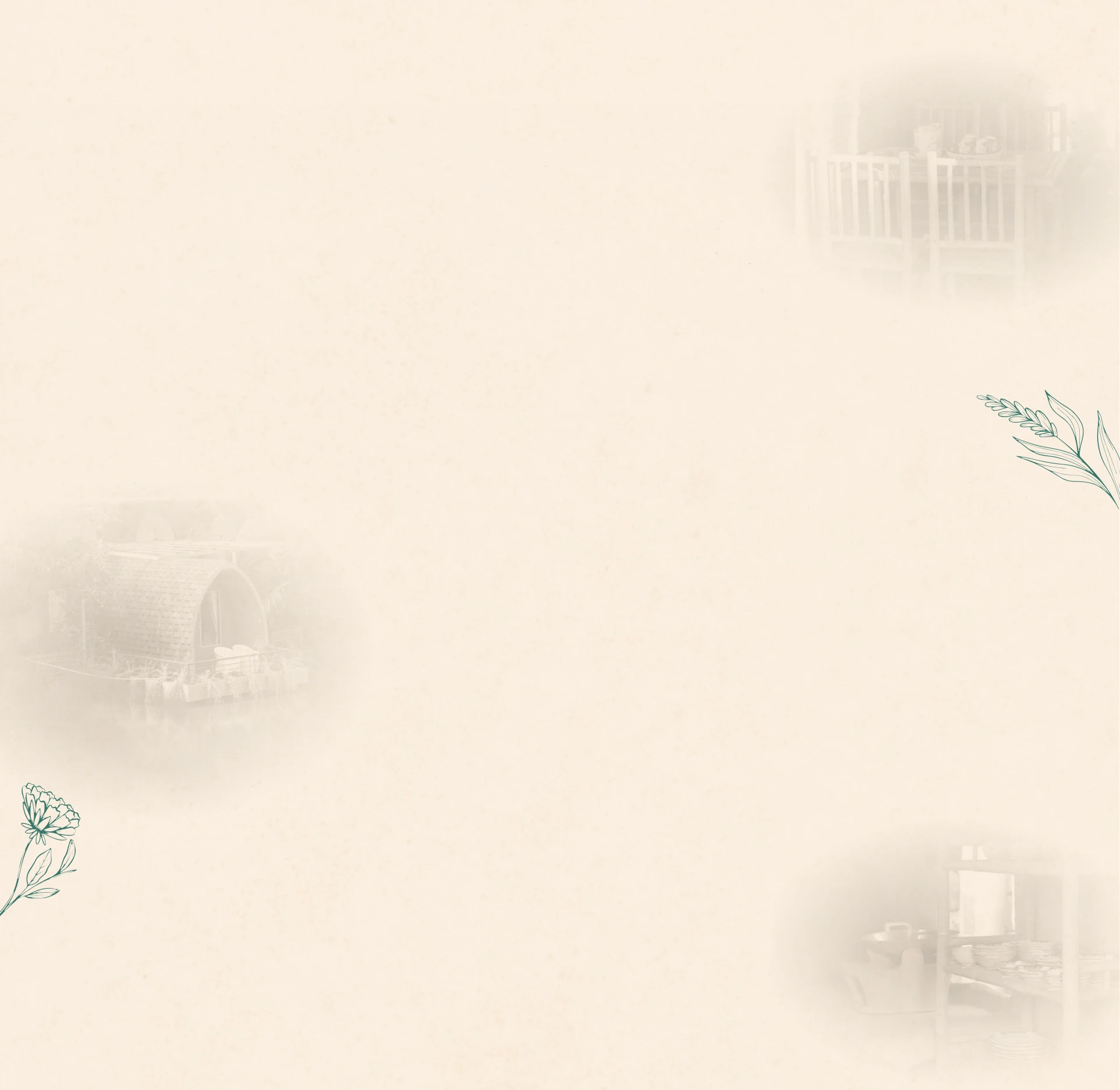 assets/images/dichvu_bg.webp