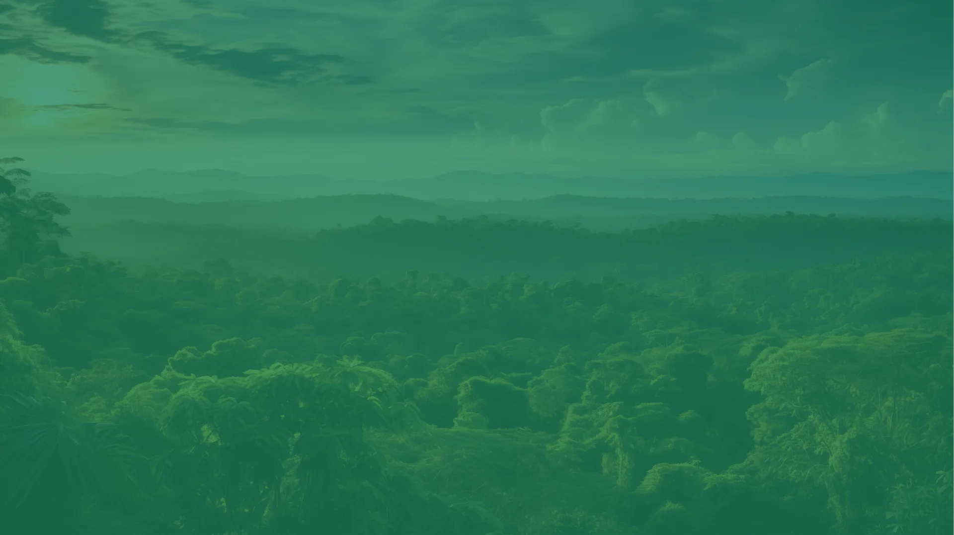 assets/images/footer_bg.webp