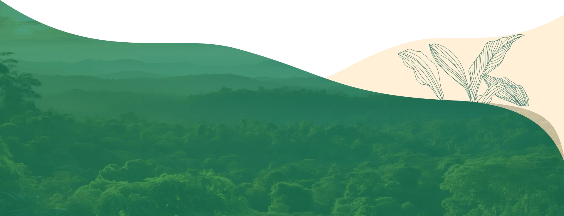 assets/images/footer_lg_bg.webp